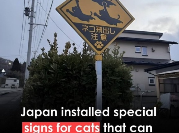 外国人「日本のネコ飛び出し注意みたいなユニークな標識ってある？」