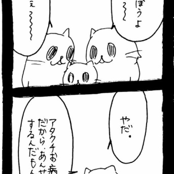 ドワーフキャットタオルちゃん44