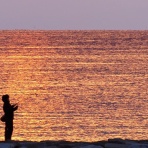 Photo by YO-RI　｢日々雑食」 ～館山・南房総～