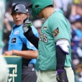 ＆#9918; 阪神タイガース　森下さん『クソレフリーばかりで野球が出来へん』