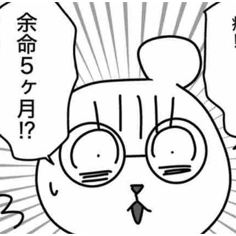 猫の余命宣告⑧夫、13年（前編）