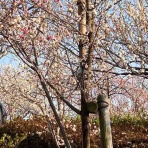 資格ゲッターが行く！