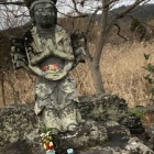 『『大沢池⭐️北嵯峨冬の風景』 』の画像