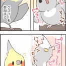 呼び鳴き参加するニュークスィー