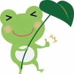 誤ってカエルを負傷させてしまった女性、罪の意識から1000km離れたカエル専門病院まで連れて行き救命