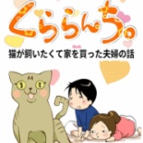 夜中、猫と寝た結果こうなった話
