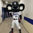中日新マスコット「ブラックドアラ」お披露目