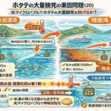 『「光マイクロバブル文明史」考（第6150回記念）（25）陸奥湾ホタテ問題（26）』の画像