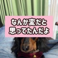 万事了解。ママに任せなさい。