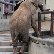 砥愛ちゃん、まだまだ上っています！下りています！