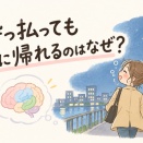 酔っ払っても家に帰れるのはなぜ？脳科学から考えてみた