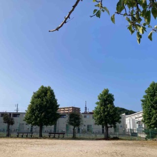 さしもも日記☆坂の上の雲の松山市から
