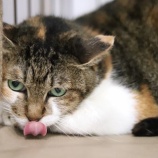 『本日10/31(日)開場しています!』の画像