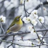 『人の話を聞いていない弟』の画像
