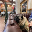 日曜日の、さんちゃん。