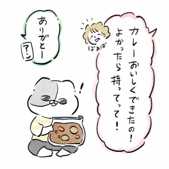 ばぁばのカレー