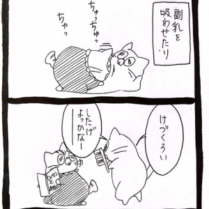 ﾈｺﾁｬﾝママになる13 ﾈｺﾁｬﾝのﾆﾝｹﾞﾝ育成日記 Powered By ライブドアブログ