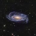 NGC5033  りょうけん座の渦巻銀河