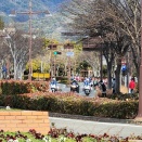 賑やかなパークロード