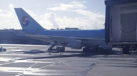 「ラーメンが塩辛すぎる！」 アメリカ行きの飛行機で韓国人が大暴れ