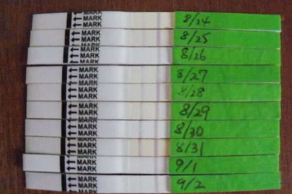 アラフィフの妊活日記 排卵検査薬