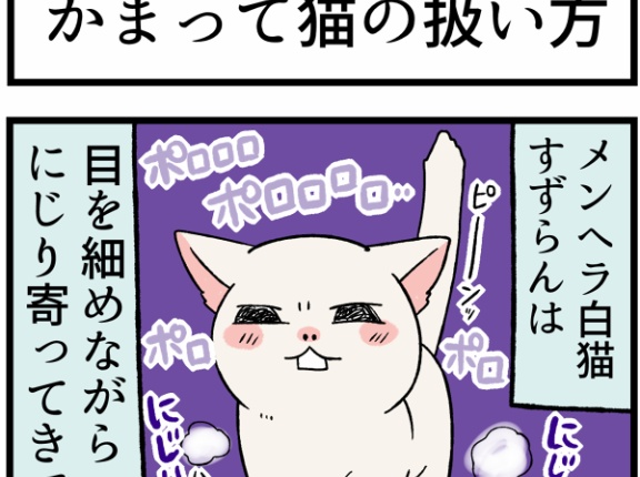 取扱注意な「かまってちゃん猫」の上手な扱い方