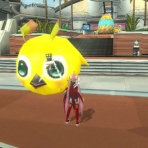 左手のモノが本体です。