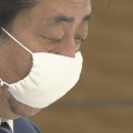 大不評な「マスク2枚配布」、実は安倍総理の独断だったと国会議員が告発！！　「総理の独断専行、あの布マスクじゃ飛沫感染防げない」