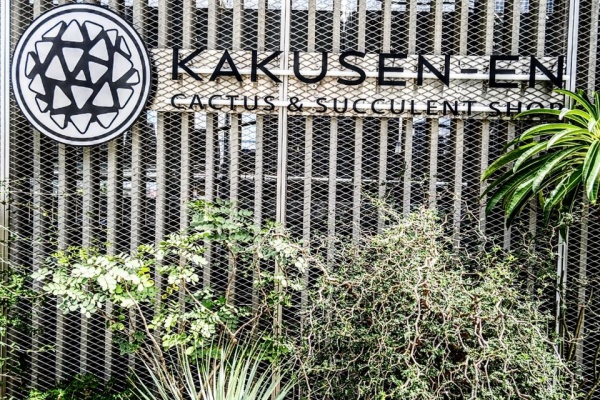 ユーフォルビア・オベサ・ドットコム - 鶴仙園