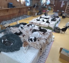 栃木拠点・12月23日