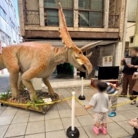 柳ケ瀬ジュラシックアーケード