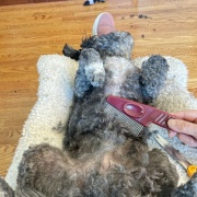 長期戦の始まり