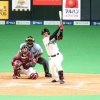 “ポスト中田”巡り日ハム野村1試合2発　佐藤は初打席初安打