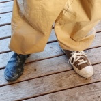 ボルゾイな生活