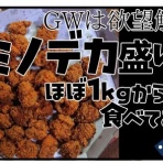 メンコスケダモノ (猫3匹とゲーマーのもふもふ生活漫画絵日記)