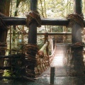 　徳島のご当地そんぐ・その３（祖谷のかずら橋）