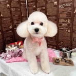 ゆうなぎ動物病院