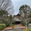 広尾の祥雲寺でお茶事