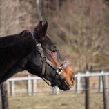 『1年、無事に』の画像