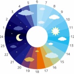 ミカタのシンプルスタイル