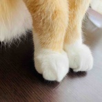 おてんば茶々姫