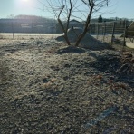 NPO犬猫みなしご救援隊・代表ブログ・みなしご庵へようこそ