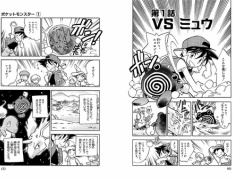 ポケモン剣盾 エースバーンって何でも蹴れるんだな 冠の雪原 ポケモン速報