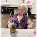 🌹母の日🌹