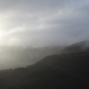 辰之介の日々 2度目の金時山へGO！！（家に来て4750日目）