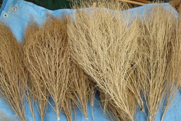 肩をすくめる マット 修理可能 ほうき 草 の 作り方 Happiness Sheep Net