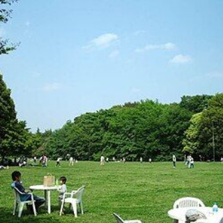 日々の気づき