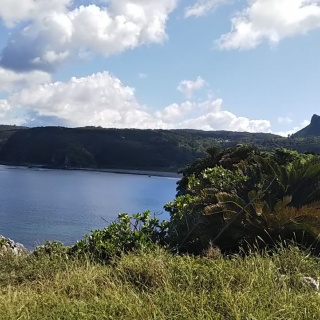 葉里真央のハリマオ