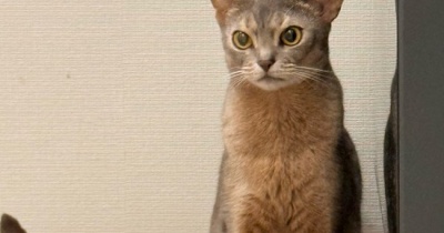オチッコをするわか坊を、隠し撮り