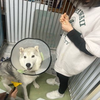 NPO法人ペット里親会